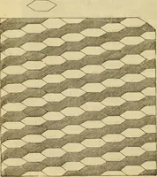 Picture 319 of 503 from Godey's lady's book 1862 Jan -June; Jul - Dec (1862), leaf 802