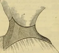 An illustration from Godey's lady's book 1862 Jan -June; Jul - Dec (1862)