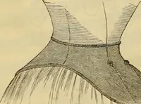 An illustration from Godey's lady's book 1862 Jan -June; Jul - Dec (1862)