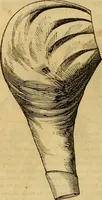An illustration from Godey's lady's book 1862 Jan -June; Jul - Dec (1862)