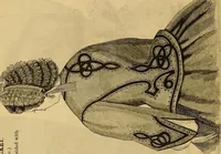 Picture 343 of 503 from Godey's lady's book 1862 Jan -June; Jul - Dec (1862), leaf 840