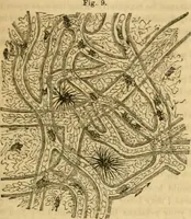 An illustration from Godey's lady's book 1862 Jan -June; Jul - Dec (1862)