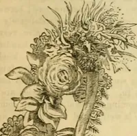 An illustration from Godey's lady's book 1863 Jan -June; Jul - Dec (1863)