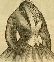 An illustration from Godey's lady's book 1863 Jan -June; Jul - Dec (1863)
