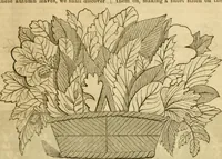 Picture 160 of 496 from Godey's lady's book 1863 Jan -June; Jul - Dec (1863), leaf 365