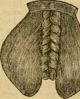 An illustration from Godey's lady's book 1863 Jan -June; Jul - Dec (1863)
