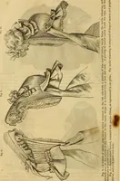 An illustration from Godey's lady's book 1863 Jan -June; Jul - Dec (1863)