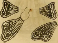 An illustration from Godey's lady's book 1863 Jan -June; Jul - Dec (1863)