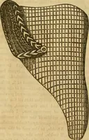 An illustration from Godey's lady's book 1863 Jan -June; Jul - Dec (1863)