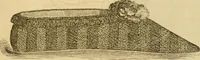 An illustration from Godey's lady's book 1863 Jan -June; Jul - Dec (1863)