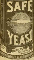Picture 256 of 496 from Godey's lady's book 1863 Jan -June; Jul - Dec (1863), leaf 602