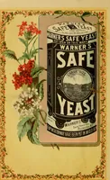 Picture 258 of 496 from Godey's lady's book 1863 Jan -June; Jul - Dec (1863), leaf 604