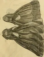 An illustration from Godey's lady's book 1863 Jan -June; Jul - Dec (1863)