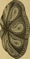 An illustration from Godey's lady's book 1863 Jan -June; Jul - Dec (1863)