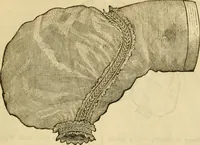 Picture 367 of 496 from Godey's lady's book 1863 Jan -June; Jul - Dec (1863), leaf 887