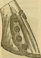 An illustration from Godey's lady's book 1863 Jan -June; Jul - Dec (1863)