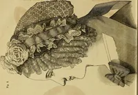 An illustration from Godey's lady's book 1863 Jan -June; Jul - Dec (1863)