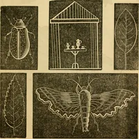 An illustration from Godey's lady's book 1863 Jan -June; Jul - Dec (1863)