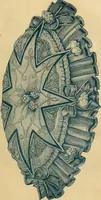 Picture 408 of 439 from Godey's lady's book 1864 Jan -June; Jul - Dec (1864), leaf 1027