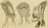 An illustration from Godey's lady's book 1864 Jan -June; Jul - Dec (1864)