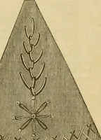 An illustration from Godey's lady's book 1864 Jan -June; Jul - Dec (1864)