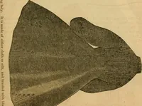 Picture 117 of 439 from Godey's lady's book 1864 Jan -June; Jul - Dec (1864), leaf 283