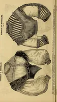 An illustration from Godey's lady's book 1864 Jan -June; Jul - Dec (1864)