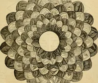 An illustration from Godey's lady's book 1864 Jan -June; Jul - Dec (1864)