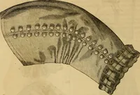 An illustration from Godey's lady's book 1864 Jan -June; Jul - Dec (1864)