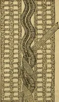 Picture 191 of 439 from Godey's lady's book 1864 Jan -June; Jul - Dec (1864), leaf 466