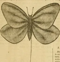An illustration from Godey's lady's book 1864 Jan -June; Jul - Dec (1864)