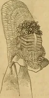 An illustration from Godey's lady's book 1864 Jan -June; Jul - Dec (1864)