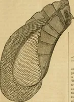 An illustration from Godey's lady's book 1864 Jan -June; Jul - Dec (1864)
