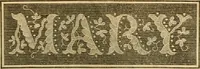 Picture 275 of 439 from Godey's lady's book 1864 Jan -June; Jul - Dec (1864), leaf 687