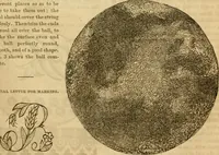 Picture 295 of 439 from Godey's lady's book 1864 Jan -June; Jul - Dec (1864), leaf 743