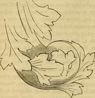 Picture 30 of 439 from Godey's lady's book 1864 Jan -June; Jul - Dec (1864), leaf 78