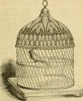 An illustration from Godey's lady's book 1864 Jan -June; Jul - Dec (1864)