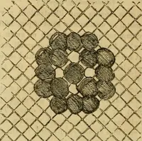 An illustration from Godey's lady's book 1864 Jan -June; Jul - Dec (1864)