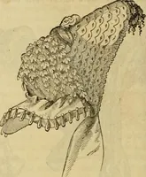 Picture 356 of 439 from Godey's lady's book 1864 Jan -June; Jul - Dec (1864), leaf 912