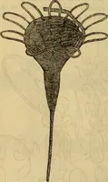 An illustration from Godey's lady's book 1864 Jan -June; Jul - Dec (1864)
