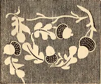An illustration from Godey's lady's book (1840)
