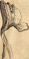 Picture 29 of 53 from Godey's lady's book (1840), leaf 66