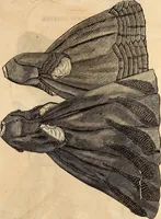 Picture 8 of 52 from Godey's lady's book (1840), leaf 11