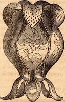 An illustration from Godey's lady's book (1840)