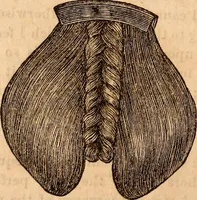 An illustration from Godey's lady's book (1840)