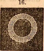 An illustration from Godey's lady's book (1840)