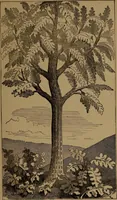 An illustration from God in nature and revelation (1875)