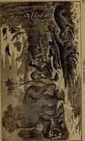 An illustration from God in nature and revelation (1875)