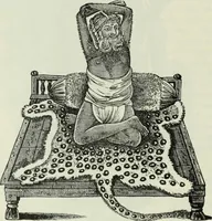 Picture 96 of 276 from Gods and devils of mankind : the whole dark picture strikingly contrasted with the beauty and purity of revealed religion / by Frank S. Dobbins ; assisted by Hon. S. Wells Williams (1897), leaf 283