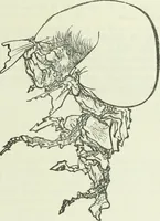 An illustration from Gods and devils of mankind : the whole dark picture strikingly contrasted with the beauty and purity of revealed religion / by Frank S. Dobbins ; assisted by Hon. S. Wells Williams (1897)